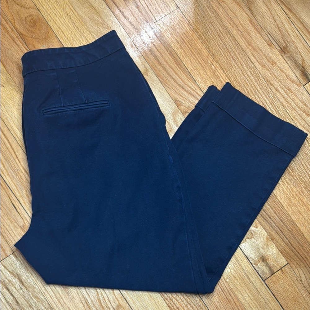 Ann Taylor Blue Capris Size 10